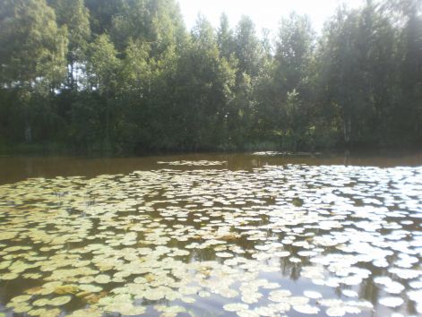  jellegzetes finn tó